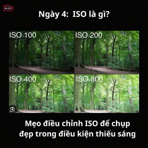 ISO là gì?